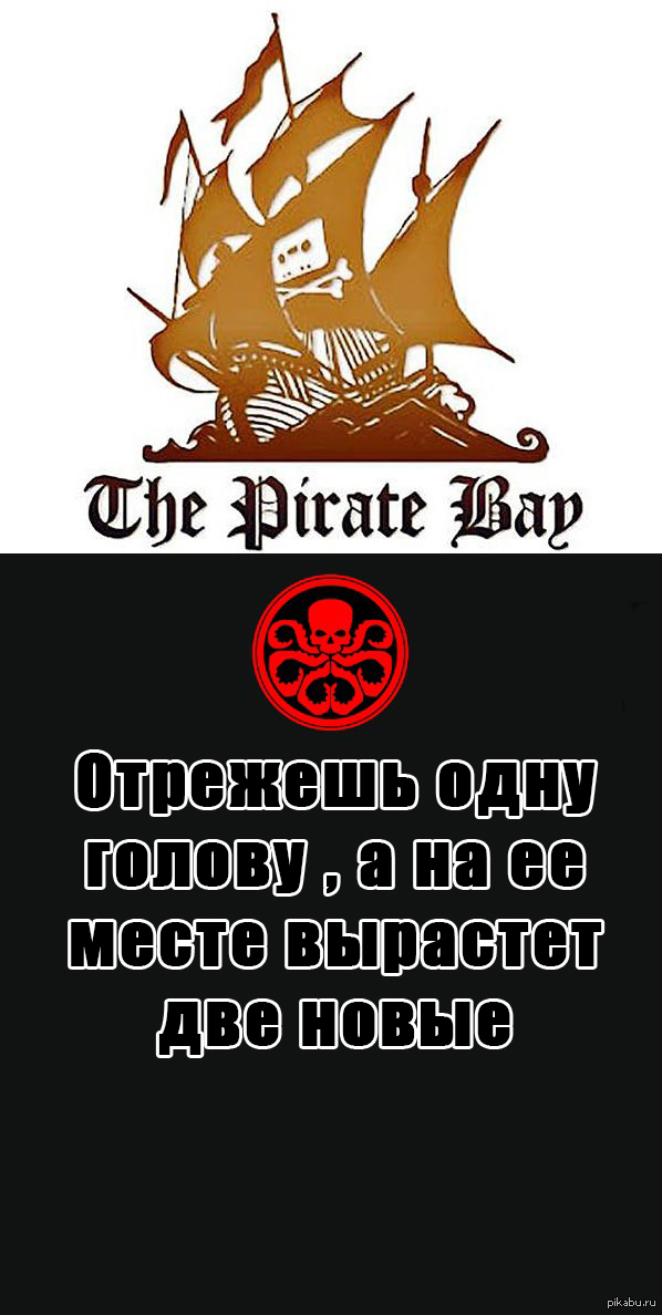 Kraken20 at