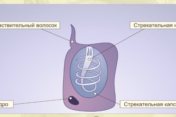 Дарк нет вход