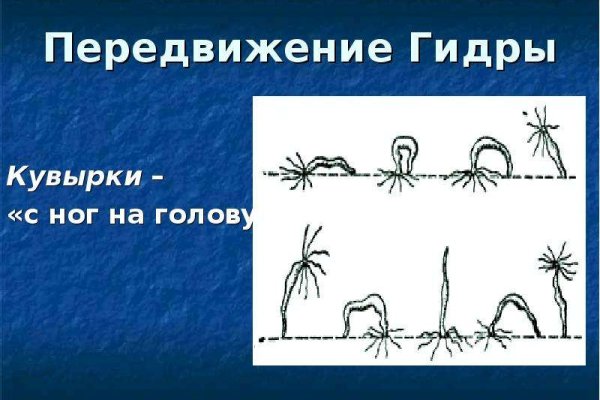 Кракен маркетплейс москва видео