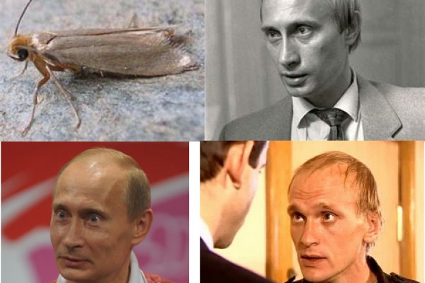 Спрут мега кракен
