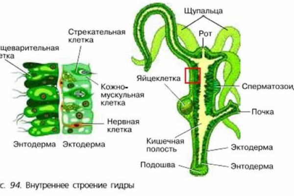 Кракен 2kr pro
